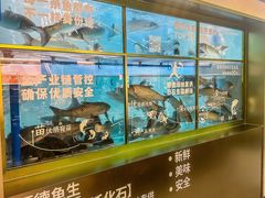 -得意咚瓜·顺德鱼生·冬瓜盅火锅