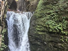 -牛背梁国家森林公园