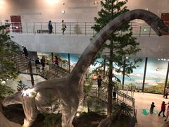 -湖南省地质博物馆