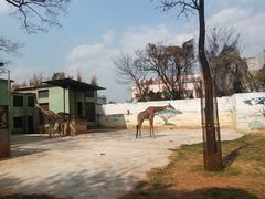 -昆明动物园
