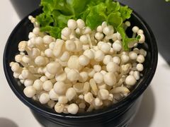 金针菇-刘一锅筋头巴脑(大悦城C店)
