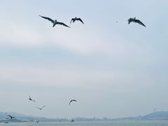 -刘公岛景区