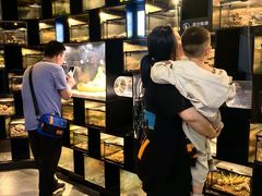 -太平洋海底世界