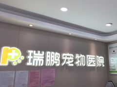 -瑞鹏宠物医院•异宠•宠保定点•流浪定点救助宠物医院(青祁店)