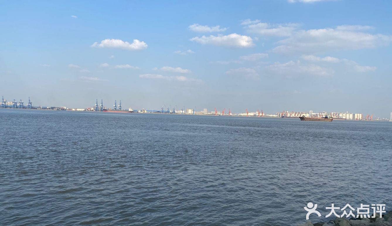 海鸥岛游啊游