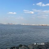 海鸥岛游啊游