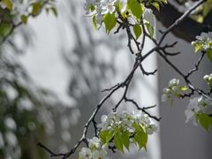 -北京颐和宾馆
