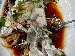 清蒸和顺鱼-水上人家河鲜