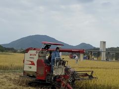 -艾米稻香小镇