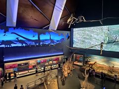 -贝林大翅鲸简餐厅(国家海洋博物馆店)