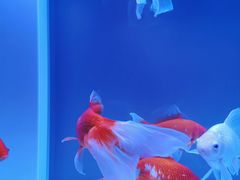 -隆成大洗浴(新城东路店)