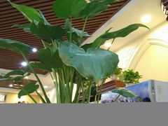 -巴依老爷新疆美食(牡丹园店)