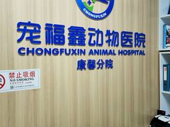 -宠福鑫康馨动物医院·骨科·眼科