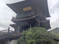 -大唐贡茶院