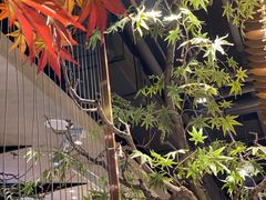 -故里湘(嘉里城店)
