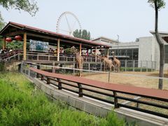 -石家庄市动物园