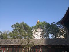 -护国法轮寺