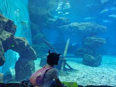 -多彩贵州城极地海洋世界