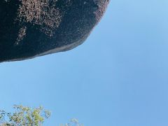 -阳台山森林公园