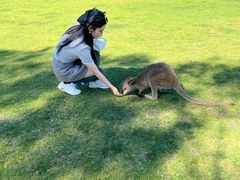 -费瑟代尔野生动物园