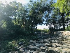 -阳台山自然风景区