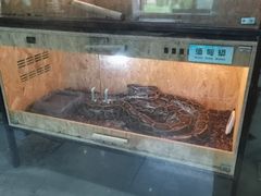-哈尔滨北方森林动物园