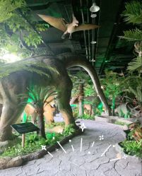 -恐龙探索乐园(磁器口店)