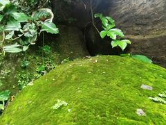 -广州兰圃