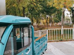 -鉴湖国家城市湿地公园