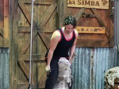 -可伦宾野生动物保护区