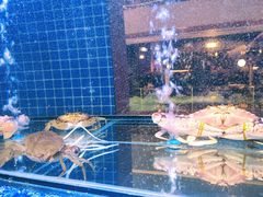 -东富酒家(龙湖西溪天街店)