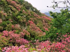 -木兰云雾山