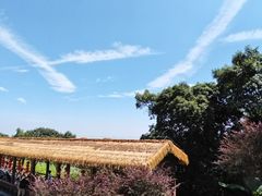 -广州市帽峰山景区