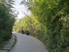 -西安汉城湖景区