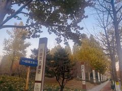 -北京西国贸大酒店