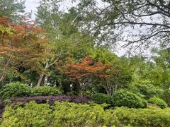 -盘龙城国家考古遗址公园