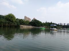 -青枫公园