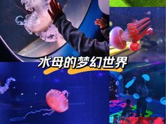-欢乐海岸海洋奇梦馆
