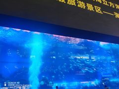 -成都浩海立方海洋公园