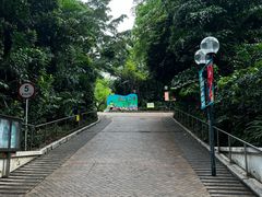 -九龙公园