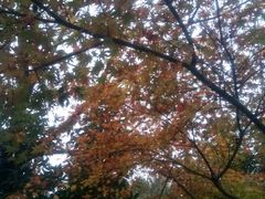 -普陀山风景名胜区-法雨禅寺