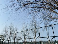 -瀛海足球主题公园