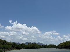 -江心屿景区