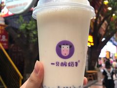 -一只酸奶牛(八一路店)