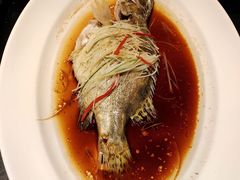 -沁香庭中餐厅·川粤菜(重庆高新假日酒店)