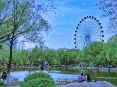 -青城公园