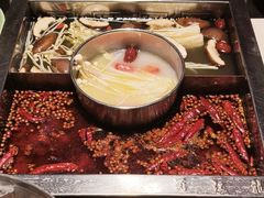 -蜀江龙火锅(339店)