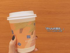 -代数学家algebraist(苏州中心店)