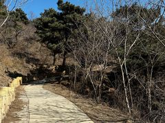 -北京西山国家森林公园