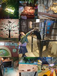 -酷嗒动物文化乐园(cutezoo西溪乐天城店)